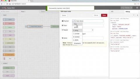 Node RED | Inject & Debug Nodes