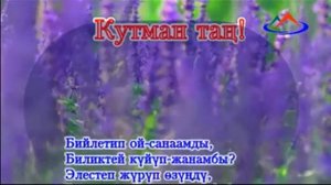 Роза Шакирова "Кызганыч"