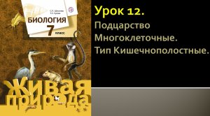 Урок 12. Подцарство Многоклеточные. Тип Кишечнополостные