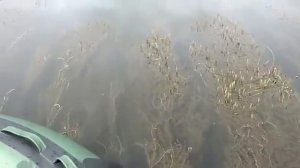 Рыбалка на Томи в районе д. Порываевка