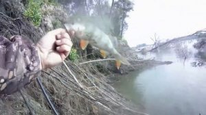 Ловля окуня и судака на живца Рыбалка на оби