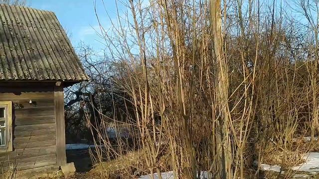 Заброшенные деревни Беларуси | Романовка