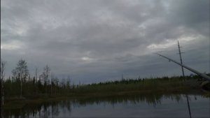 РЕКА ПАННЭЯХА - ЛОВЛЯ: ЯЗЬ,ЧЕБАК,СОРОГА В ГОРОДЕ НОВЫЙ УРЕНГОЙ
