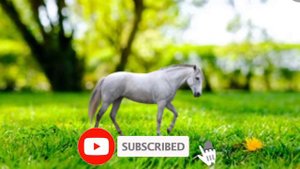 Животные для детей | виды лошадок 2 часть | мультик про лошадей | милые животные