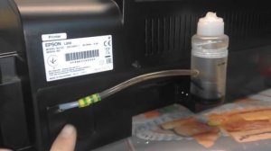 как заменить памперс epson l800