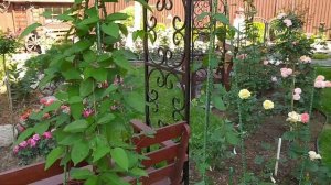 Арки и опоры в ландшафте сада.