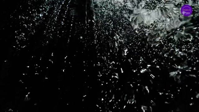 SAVAGE-44 - Give Me (long version)♫ Golden Eurodance ♫