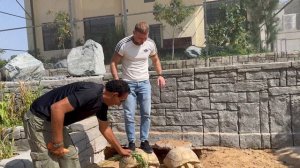 Зоопарк в Дубае. Животных можно гладить и трогать 🤗🐅🐒🦧🐊