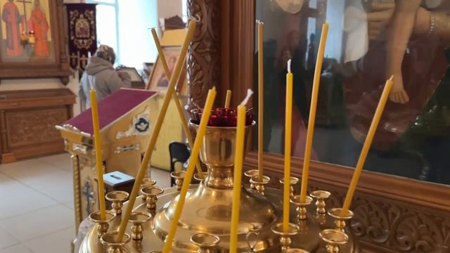 7 день Федерального проекта "Университетские смены"