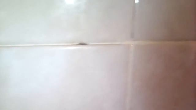 Кладка кафеля