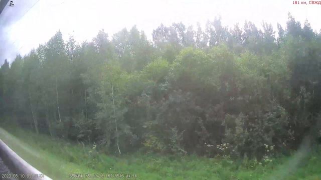 Железная дорога Усть-Тавда - Сузгун - Тобольск (вид из окна поезда, восточная сторона) (СВЖД) смотреть онлайн