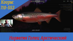 ✅Fisher Online ✅ Норвегия 🐬 Голец Арктический Корры; 👍710-533