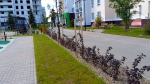 Брянск.Старый аэропорт. ЖК Атмосфера в парке.