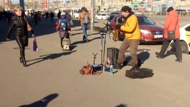 Проспект Просвещения Саксафон. смотреть онлайн