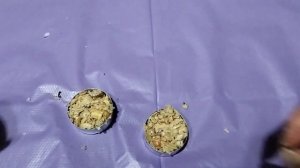 Делаем свечу из ОПИЛОК за копейки. Такая свеча даёт тепло в несколько раз больше, чем обычная.