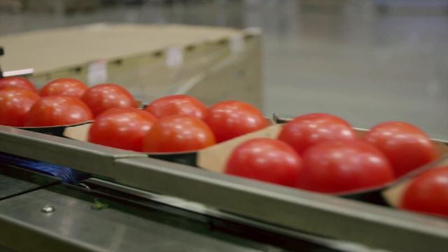 Презентационный фильм компании Экокультура | Создание Mastersky Краснодар