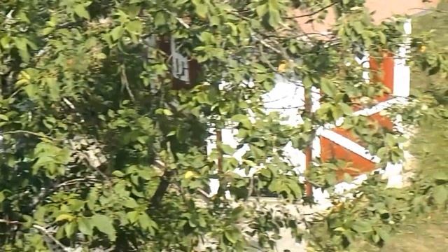 Nikon L320 Coolpix test смотреть онлайн