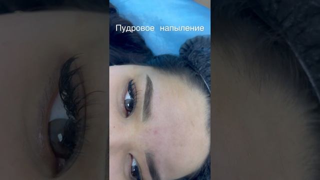 Пудровое напыление бровей, 89269850890 номер для записи #пудровыеброви #перманентныймакияжбровей смотреть онлайн
