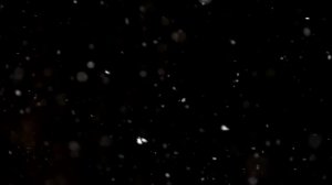 Медленно падает снег на черном фоне. Эти кадры были сняты со скоростью 240 кадров в секунду