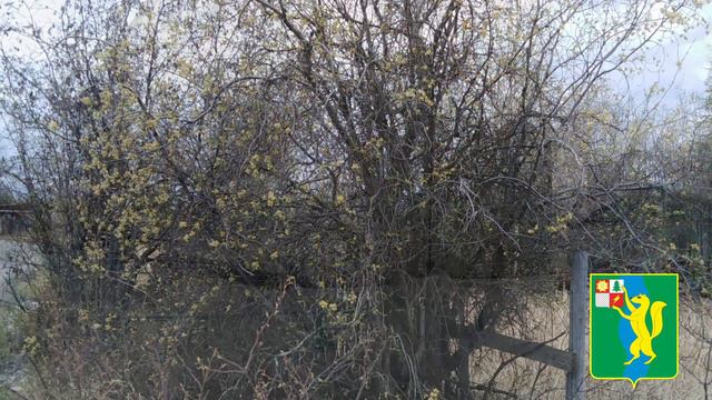 Земля и люди Среднеканского района смотреть онлайн