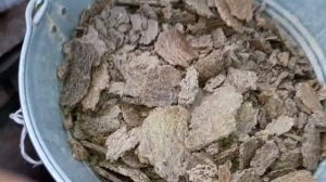 Видео/1. Отвечаю, какую макуху я даю перепелам, курям, и кроликам. Продолжение следует на видео /2.