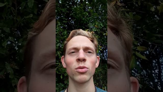 Плоская земля,! Метеорит,! Альтернативная история! смотреть онлайн