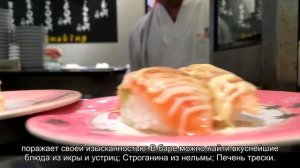 О ресторане-теплоходе Erwin река: расписание, прогулки с ужином, меню