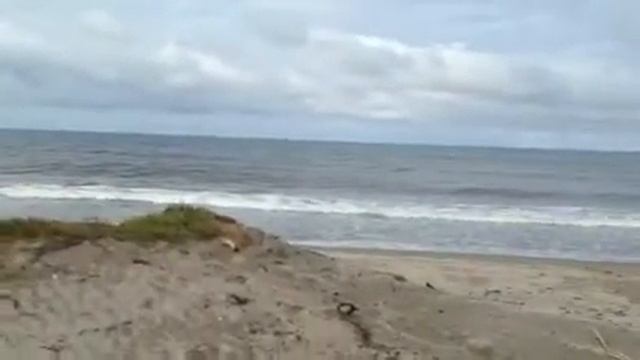 La Ceiba Honduras waterfront real estate смотреть онлайн