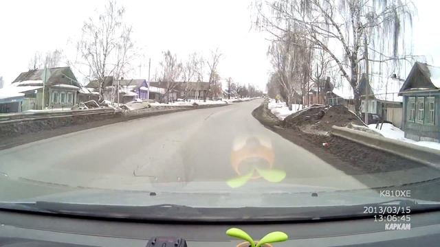 Сова днем в поселке Николо Павловское пригорода Нижнего Тагила