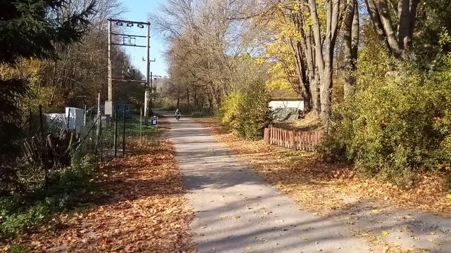 Moped cafe racer Babetta.test смотреть онлайн