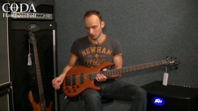 HangszerMustra - Cort B4-B5 смотреть онлайн