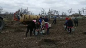 Посадка деревьев с МТЗ 82.1 с куном и МТЗ 80 с бочкой воды!
