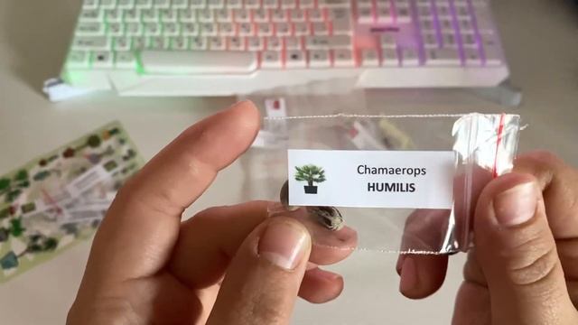 Распаковка, где я заказываю семена бамбука, банана и пальм, подарочки!!! смотреть онлайн