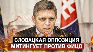 Словацкая оппозиция митингует против Фицо
