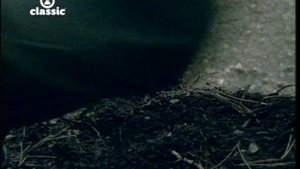 Status Quo - In The Army Now @ 1986 Vh1 Classic