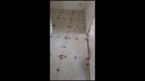 Укладка плитки на кухне и в прихожей единым ковром. Керамогранит 600/600