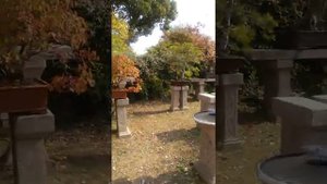 Китай. город Сучжоу