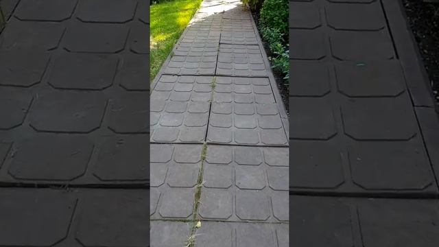 Полимерпесчаная плитка. Опыт эксплуатации 5 лет.