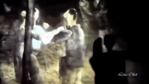 В Бутусов ღ Кошка,чашка,муха и лапоть