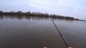 За жерехом в середине октября на Оку по летним местам