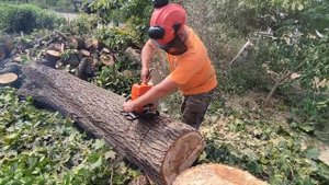 Stihl 361 ЦПГ Meteor karb Stihl orig обкатка