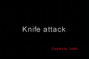 Knife Attack