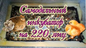 Инкубатор. Просто. Доступно.