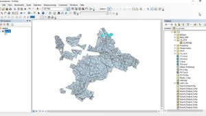 Карты 1 Лесоустройство