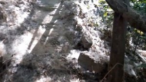 Днепряны, Новая Каховка, Херсонская область, на берегу высокая лестница