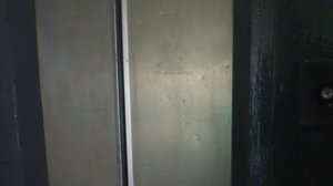 Электрический лифт V=1 м-с, грузоподъемность 320 кг (1811)