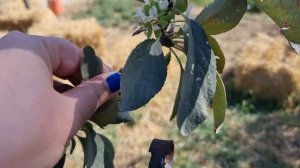 Меняю название канала: "Солнечный край с Катюшей"