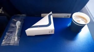 Airbus A319 АК Аврора|Перелет SU5685 Петропавловск-Камчатский - Хабаровск (02.11.2022)