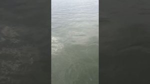 рыбалка в Азове