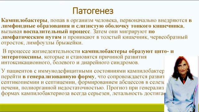 Кампилобактериоз у кошек